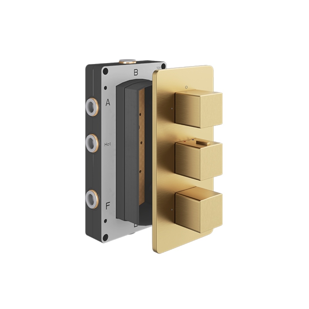 Product cut out of the Abacus Square Brushed Brass 3 Outlet 3 Handle Thermostatic Shower Valve TSEZ-23-8273